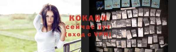 индика Покров