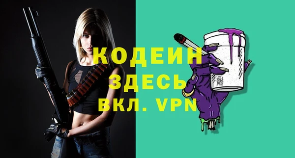 индика Покров