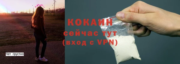 индика Покров