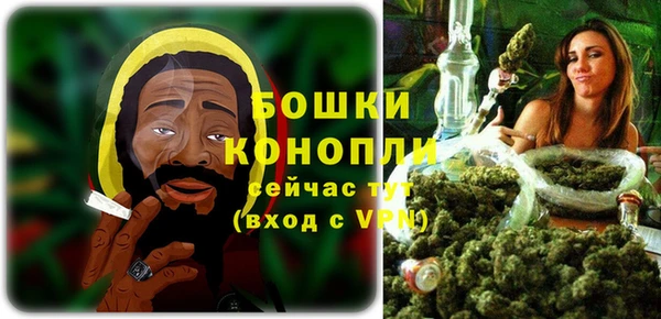 индика Покров