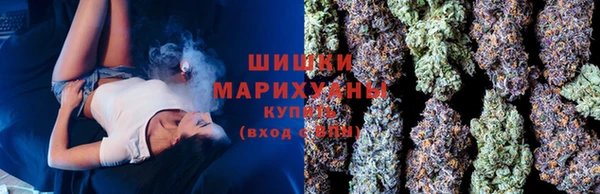 твердый Протвино