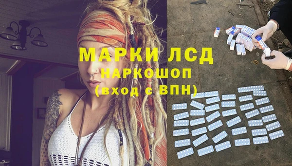 индика Покров