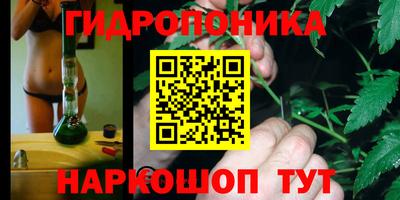 spice Донецк