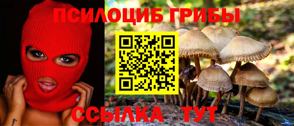 Галлюциногенные грибы ЛСД  Вход с VPN  Псилоцибиновые грибы Psilocybe  Новороссийск 